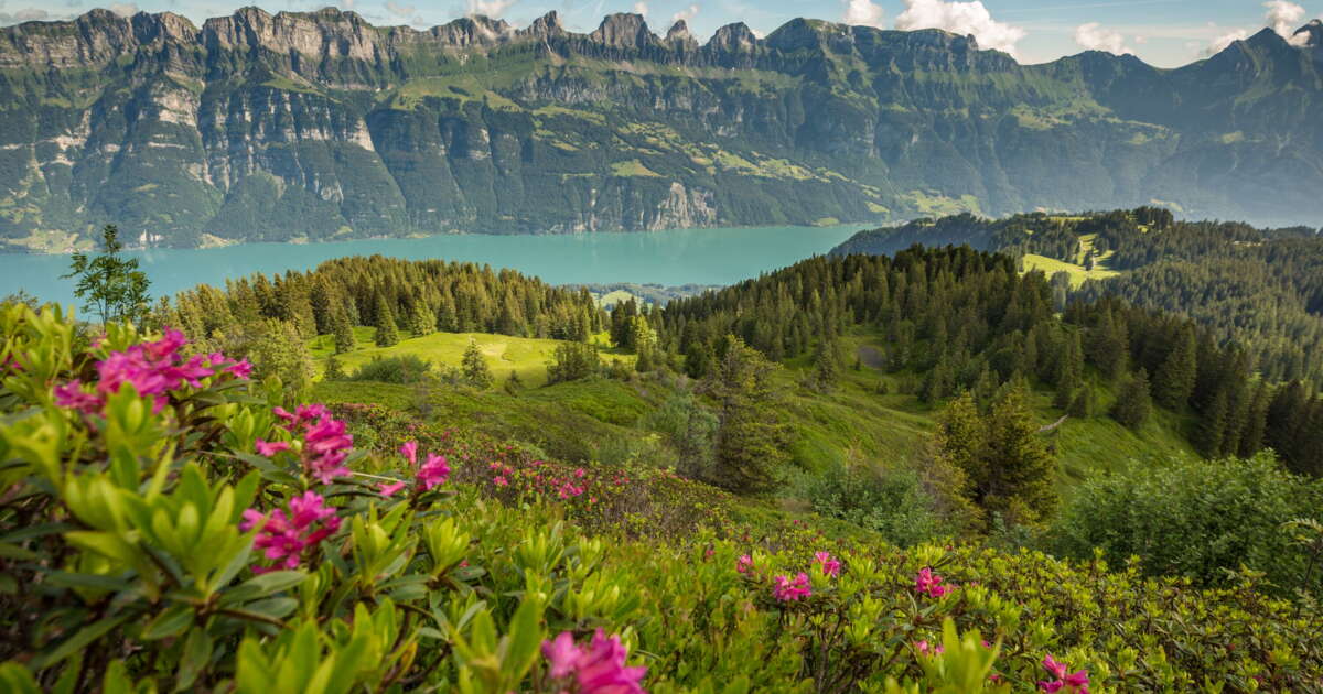 You are currently viewing دهکده هایدی در هایدی لند: مقصدی جذاب در دامنه کوه‌های آلپ سوئیس