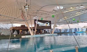 پارک دلفین کیش؛ از شنا با دلفین‌ها تا نمایش‌های هیجان‌انگیز