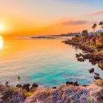 خلیج درخت انجیر، پروتاراس