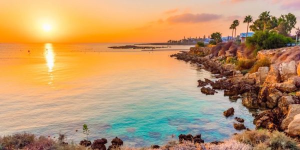 خلیج درخت انجیر، پروتاراس