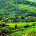 ۱ روستای افجه
