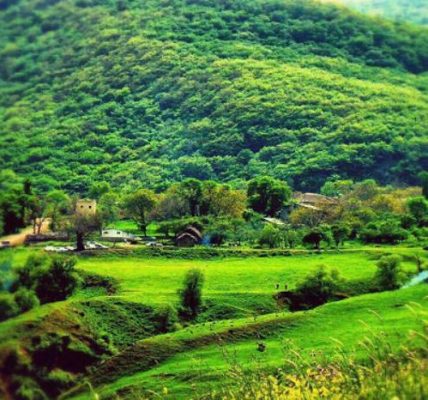 ۱ روستای افجه