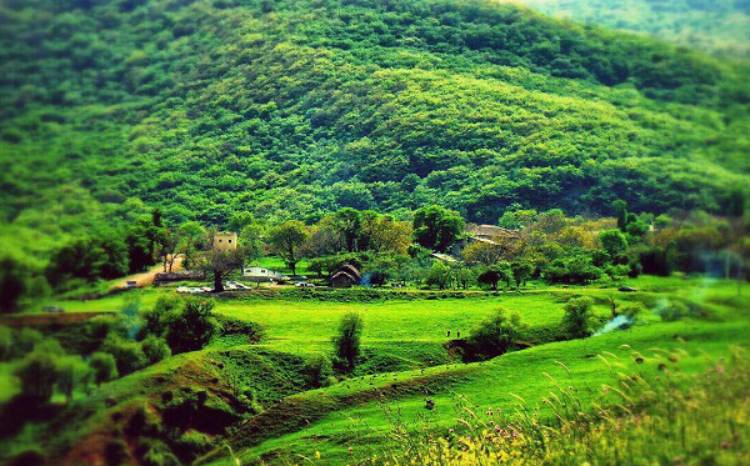 ۱ روستای افجه
