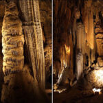 mizannews 1 غار گل زرد پلور