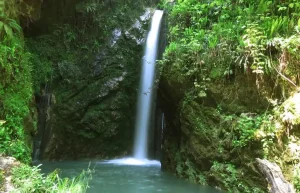 آبشار سنگ درکا آمل؛ جاذبه‌ای پنهان در جنگل‌های مازندران