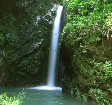 آبشار سنگ درکا آمل؛ جاذبه‌ای پنهان در جنگل‌های مازندران