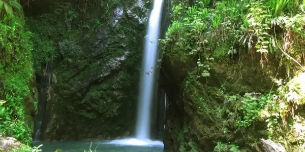 آبشار سنگ درکا آمل؛ جاذبه‌ای پنهان در جنگل‌های مازندران