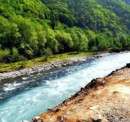 انشا در مورد سرگذشت یک رود کوتاه