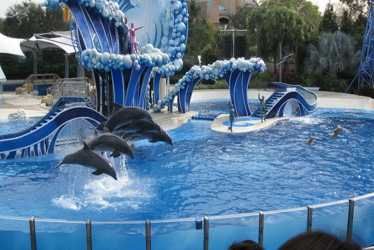 جاهای دیدنی نزدیک آکواریوم جزیره کیش