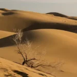 کویر مرنجاب