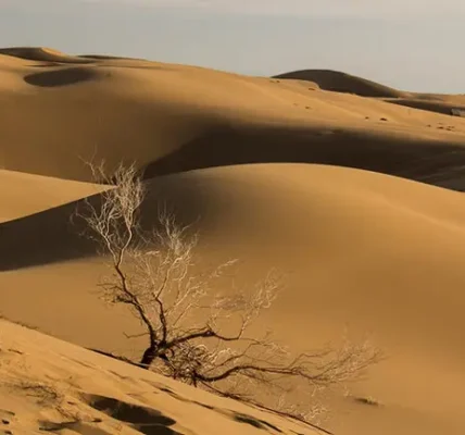 کویر مرنجاب