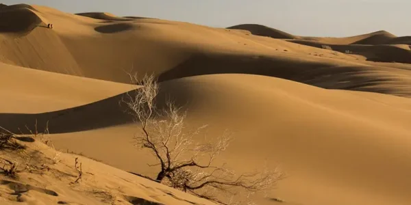 کویر مرنجاب