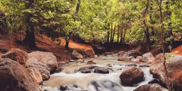 منطقه سراب صحنه