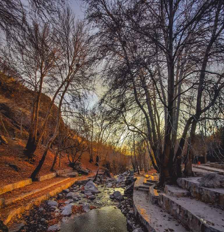 – طبیعت‌گردی