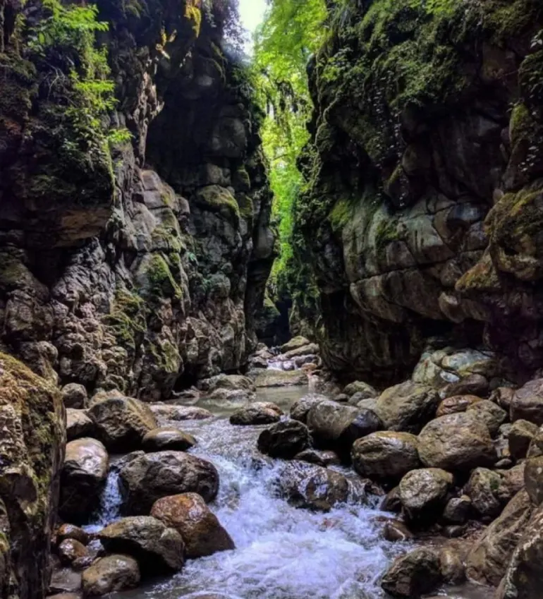 بازدید از تنگه دار