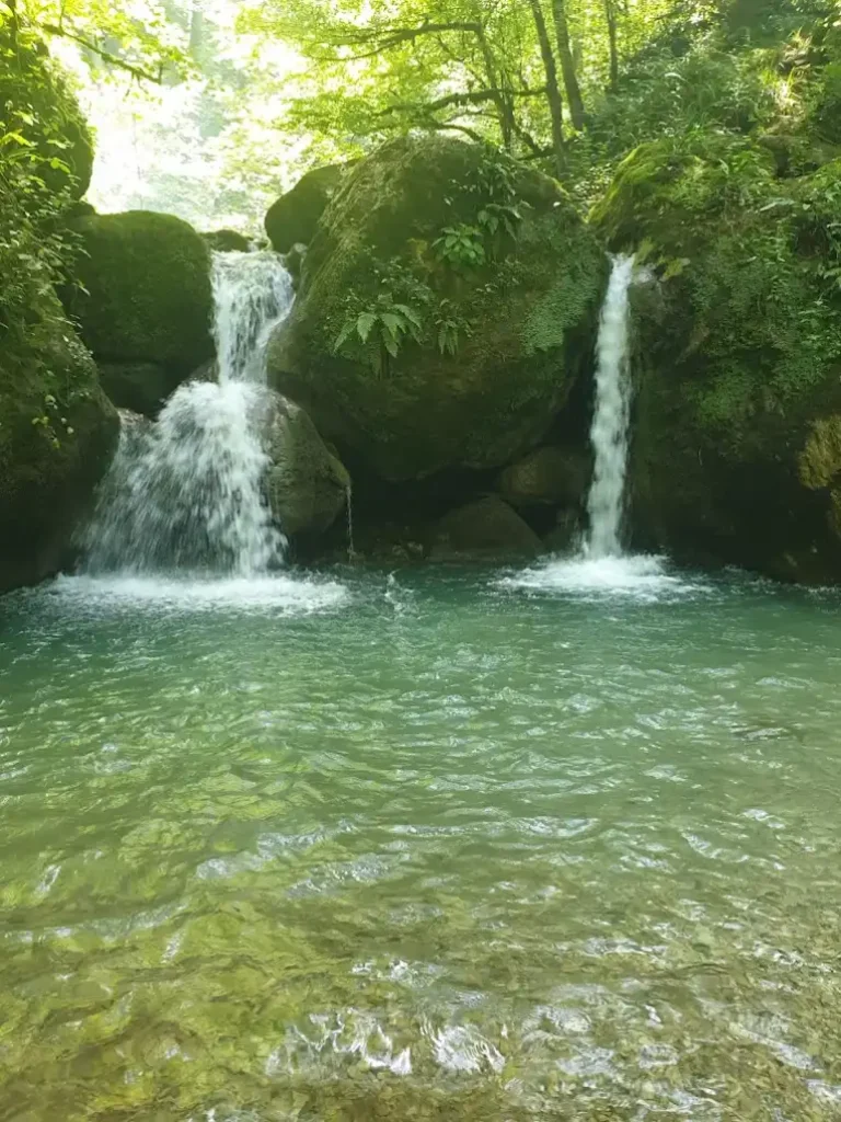 تا تنگه دار