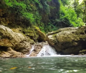 تنگه دار کجاست؟