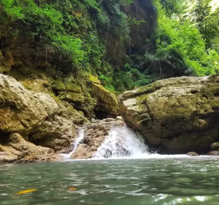 تنگه دار کجاست؟