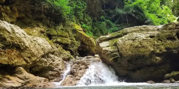 تنگه دار کجاست؟