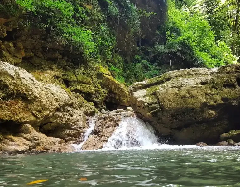 تنگه دار کجاست؟