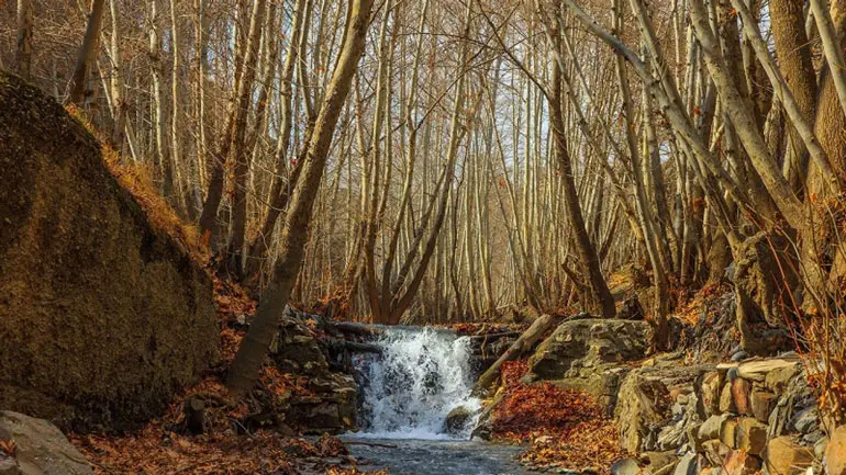 روستای زشک مشهد کجاست؟
