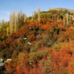 روستای زشک مشهد؛ تماشای بهشتی فرازمینی با چشمان زمینی