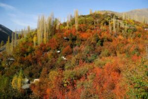 روستای زشک مشهد؛ تماشای بهشتی فرازمینی با چشمان زمینی
