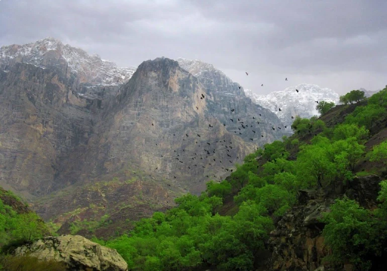 منطقه حفاظت‌شده هلن