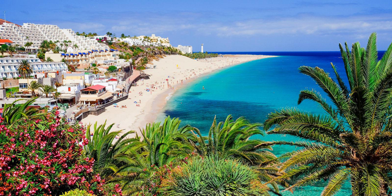 پوشش گیاهی در جزایز قناری