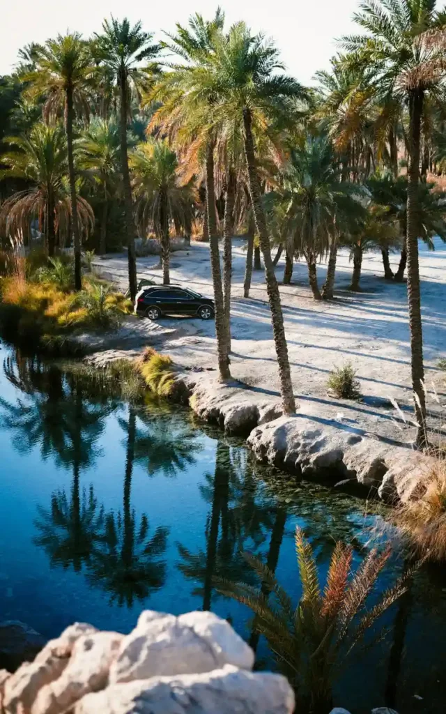 چشمه سبزپوشان هرمزگان؛ بهشتی پنهان در دل کویر.