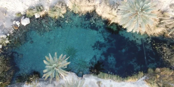 چشمه سبزپوشان هرمزگان؛ بهشتی پنهان در دل کویر