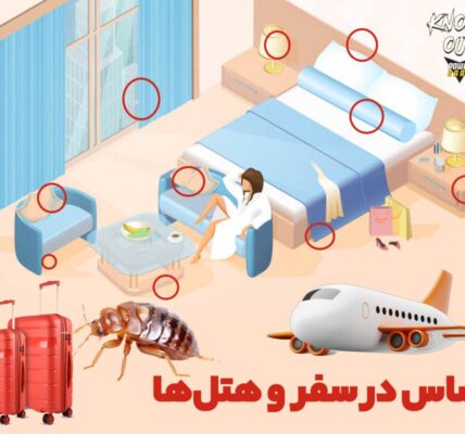 ساس در سفر و نکات طلائی در امان ماندن از شر ساس