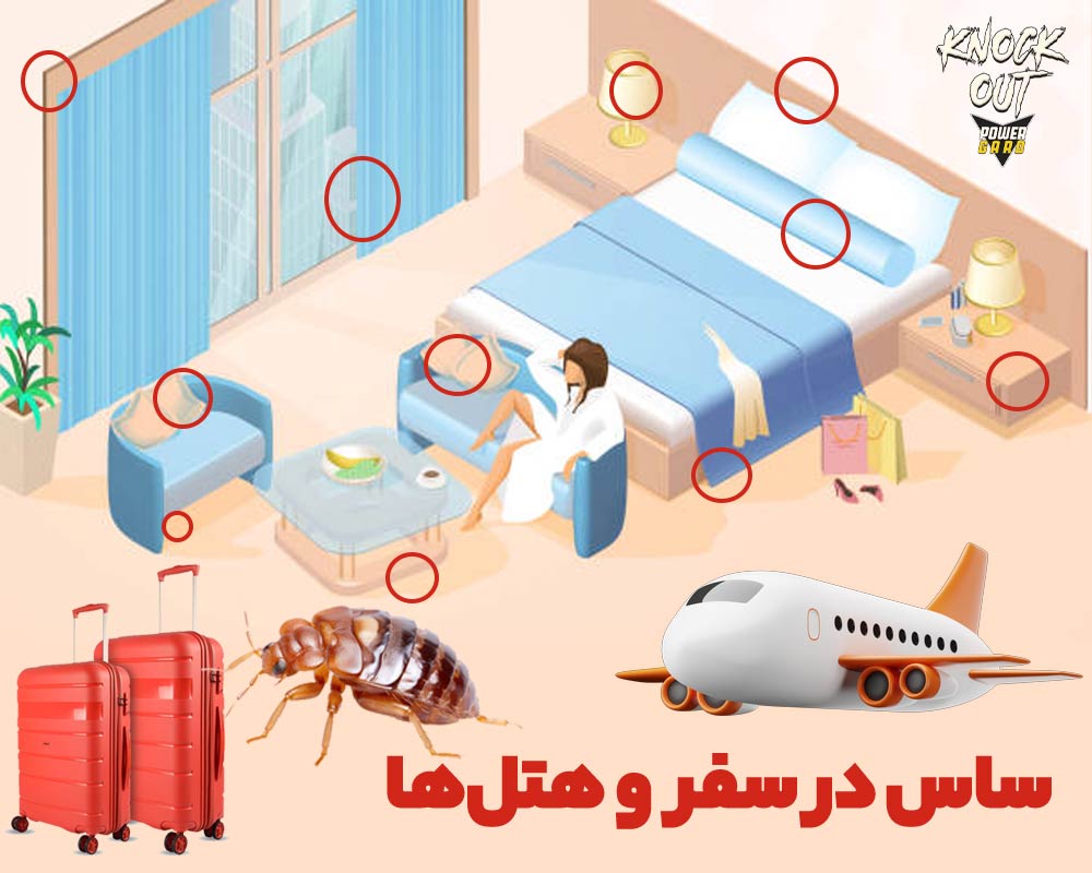 ساس در سفر و نکات طلائی در امان ماندن از شر ساس