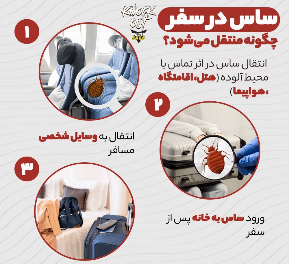 ساس در سفر چگونه منتقل می‌شود؟