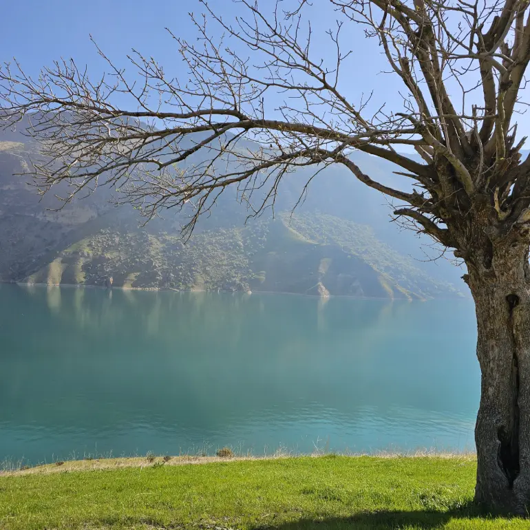 بهترین زمان سفر به دشت هلن