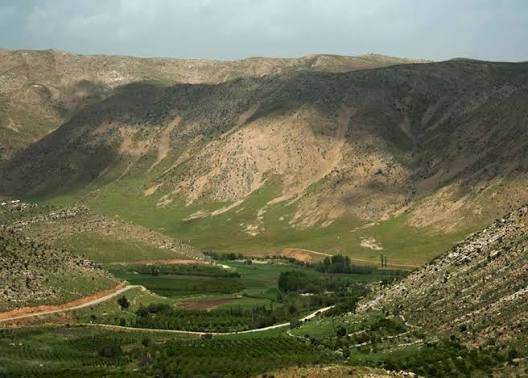 روستای کاکان؛ مقصدی سرسبز برای عاشقان طبیعت در نزدیکی یاسوج تصویر 2