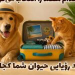 اگر سگ یا گربه شما چمدان می‌بست، کدام مقصد را انتخاب می‌کرد؟