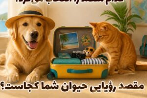 اگر سگ یا گربه شما چمدان می‌بست، کدام مقصد را انتخاب می‌کرد؟