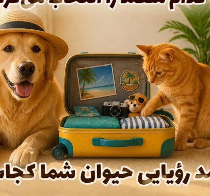 اگر سگ یا گربه شما چمدان می‌بست، کدام مقصد را انتخاب می‌کرد؟