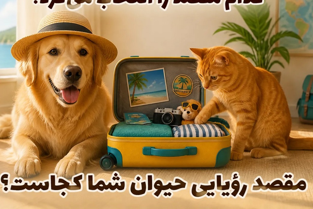 اگر سگ یا گربه شما چمدان می‌بست، کدام مقصد را انتخاب می‌کرد؟