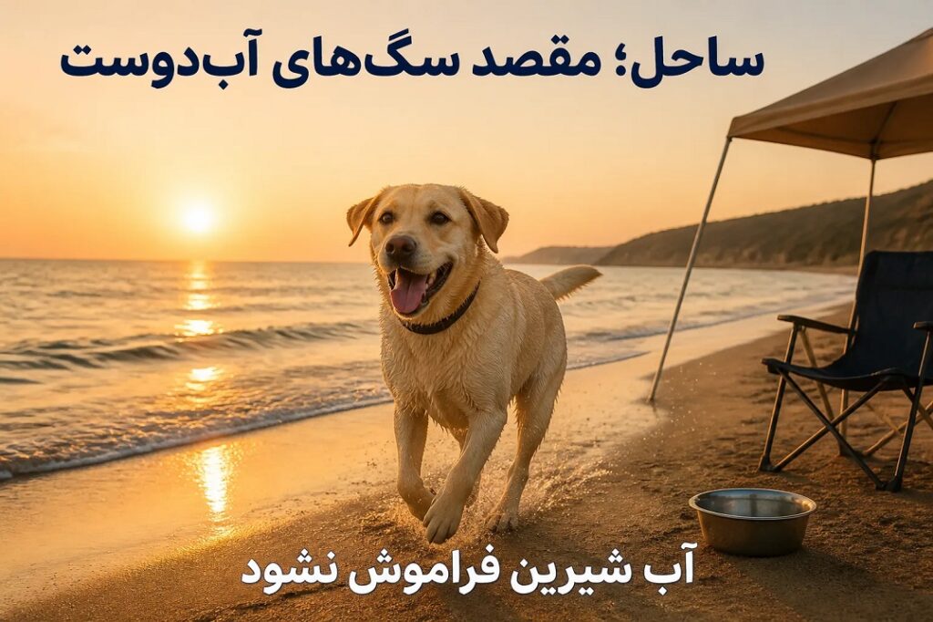 اگر سگ یا گربه شما چمدان می‌بست، کدام مقصد را انتخاب می‌کرد؟ 2