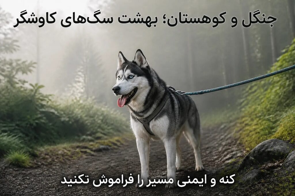 اگر سگ یا گربه شما چمدان می‌بست، کدام مقصد را انتخاب می‌کرد؟ 3